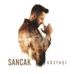 album image Gel Sen Sabret Gözyaşı