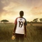 album image Bravo 19