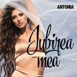 album image Iubirea Mea Iubirea Mea - Single
