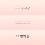 album image The Night Sky (OST Part 5 The Best Hit) The Best Hit (Original Television Soundtrack), Pt. 5 - Single