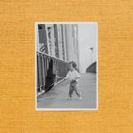 album image Hiding Place Wallflower
