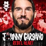 album image Rebel Heart