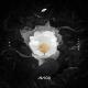 Avicii feat. Rita Ora - Lonely Together
