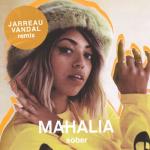 album image Sober Sober (Jarreau Vandal Remix) - Single