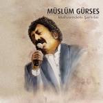album image Dargınım Mahzendeki Şarkılar