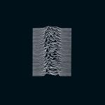 album image New Dawn Fades Unknown Pleasures (Collector's Edition)