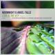 Relax Club💎💎💎💎 - Moonnight & Angel Falls - Love Is the Key (Dj Artak Remix)