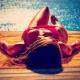 Alan Walker - Sing Me To Sleep (Eugene Star Remix) Radio Edit.