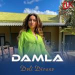 album image Deli Divane (Remix) 2016 (www.iLOR.ws) Dəli Divanə - Single