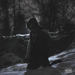 album image Тишина Damn Garden