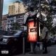 Limma - Different Days