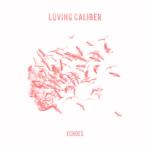 album image Still Thinking Of You Echoes