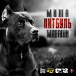 album image Невозможное возможно Питбуль
