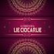 MD DJ feat. DJ C-Snake feat. DJ C-Snake - Lie Ciocarlie