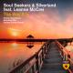 Soul Seekerz & Silverland featuring Leanne McCrei - The Way It Is(Extended Mix)