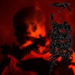 album image Agony Stranger