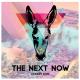 Donkey Dust - The Next Now (ft.Nina Sung)