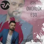 album image Bir Omurluk Esq Bir Ömürlük Eşq - Single