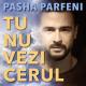 Pasha Parfeni - Tu Nu Vezi Cerul