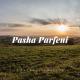 Pasha Parfeny - Cantecul Zorilor