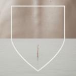 album image Hallelujah Arms of a Dream