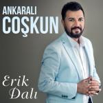 album image Erik Dalı Erik Dalı - Single