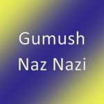 album image Naz Nazi