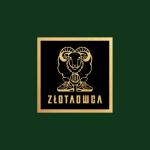 album image CARDIO Złota Owca