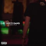 album image Gucci Gang (Official Music Video) (Lil Pump Remix)