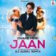 DJ AQEEL - CAHE MERI JAAN TU LE LE - REMIX