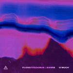 album image 2 MUCH 2 MUCH (feat. 24hrs) - Single