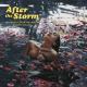 Kali Uchis feat. Tyler, The Creator, Bootsy Collins - After The Storm