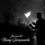 album image Намик Гарачухурлу - Один желание шелковица Bir Arzu Tut - Single