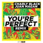 album image You're Perfect (Remix) You're Perfect (Remix) - Single