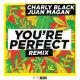 Charly Black & Juan Magan - You're Perfect (Remix)