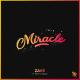 Zave feat. Romy Wave - Miracle