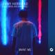 Jimmy Hardwind, Mike Archangelo - Want Me