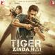 Tiger Zinda Hai - Dil Diyan Gallan Song