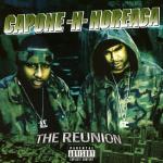album image Invincible (C-N-N feat. DJ Premier) The Reunion