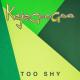 Kajagoogoo - Too Shy