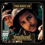 album image Damn The Best of YoungBloodZ - Still Grippin' tha Grain