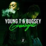 album image Gangland Greenlight - Single