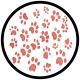PAWSA - The Groovy Cat
