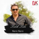 album image Narin Narin Narın Narın (feat. Şəbnəm Tovuzlu) - Single