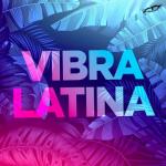 album image Suave (Speed up) Vibra Latina