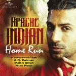 album image Om Namah Shivaya Home Run