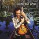 Tinsley Ellis - Feelin' No Pain 1