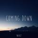 Naulé - Coming Down
