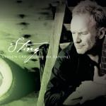 album image Stolen Car (Take Me Dancing) Stolen Car (Take Me Dancing) - Single