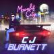 CJ Burnett - Twilight Dreamer